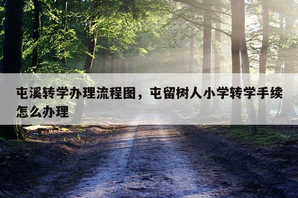 屯溪转学办理流程图，屯留树人小学转学手续怎么办理
