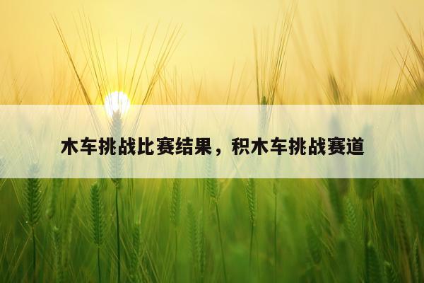 木车挑战比赛结果，积木车挑战赛道
