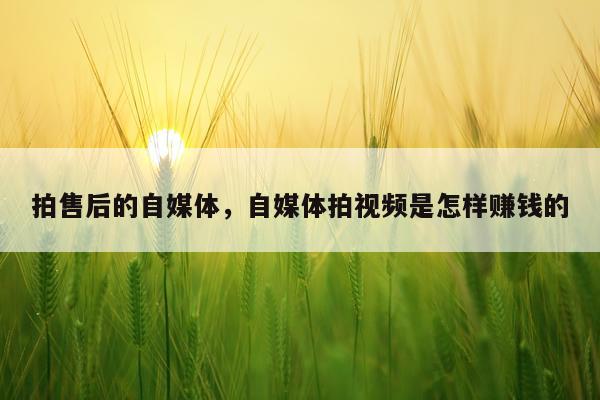 拍售后的自媒体，自媒体拍视频是怎样赚钱的