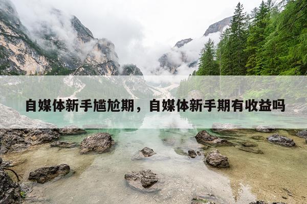 自媒体新手尴尬期，自媒体新手期有收益吗