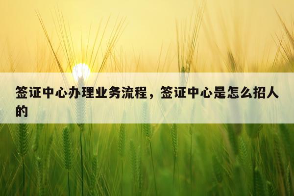 签证中心办理业务流程，签证中心是怎么招人的