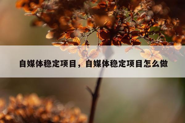 自媒体稳定项目，自媒体稳定项目怎么做