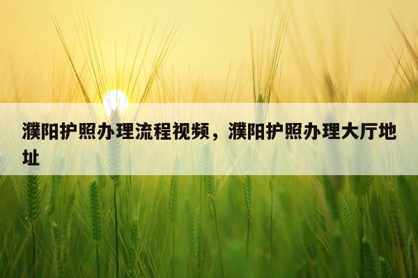 濮阳护照办理流程视频，濮阳护照办理大厅地址
