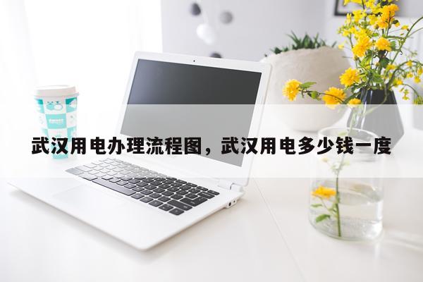 武汉用电办理流程图，武汉用电多少钱一度