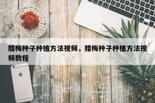 腊梅种子种植方法视频，腊梅种子种植方法视频教程