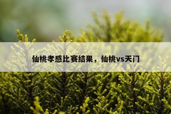 仙桃孝感比赛结果，仙桃vs天门