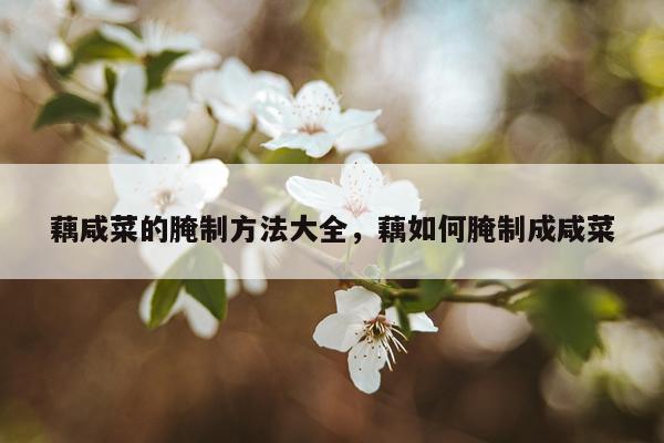 藕咸菜的腌制方法大全，藕如何腌制成咸菜