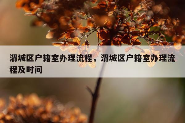 渭城区户籍室办理流程，渭城区户籍室办理流程及时间