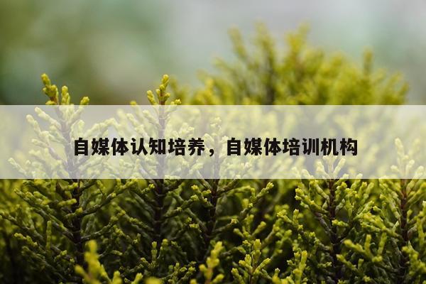自媒体认知培养，自媒体培训机构