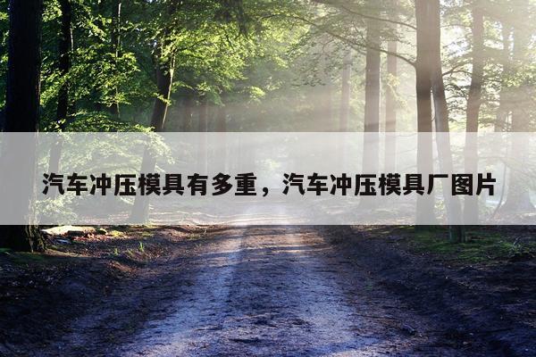 汽车冲压模具有多重，汽车冲压模具厂图片