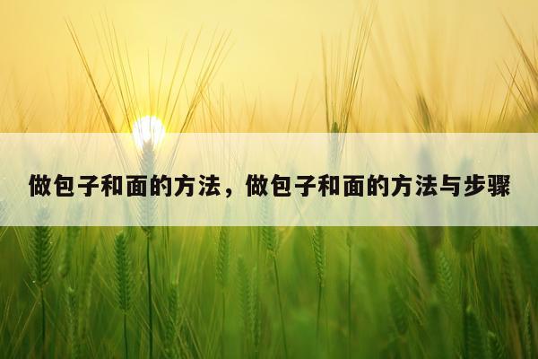 做包子和面的方法，做包子和面的方法与步骤