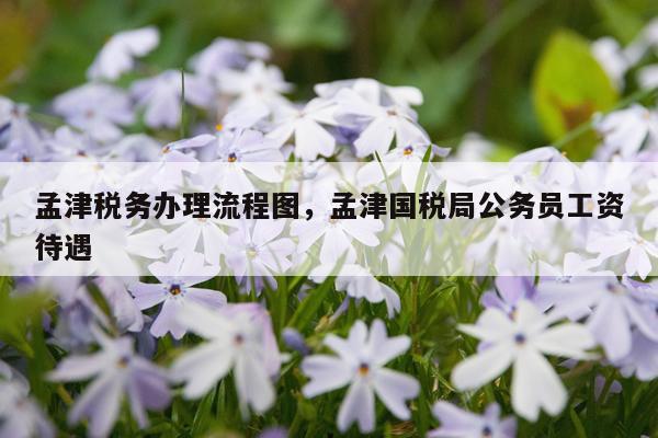 孟津税务办理流程图，孟津国税局公务员工资待遇
