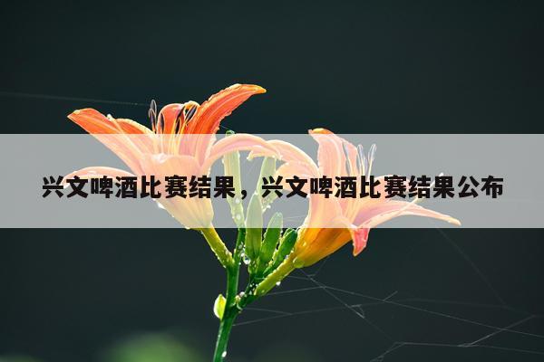 兴文啤酒比赛结果，兴文啤酒比赛结果公布