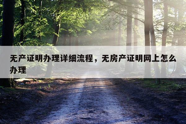 无产证明办理详细流程，无房产证明网上怎么办理