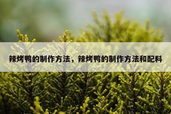 辣烤鸭的制作方法，辣烤鸭的制作方法和配料