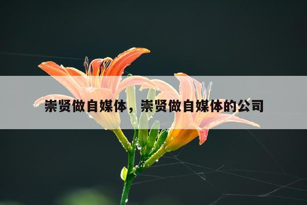 崇贤做自媒体，崇贤做自媒体的公司