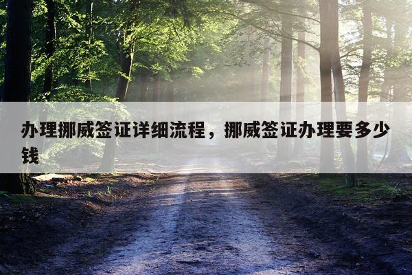 办理挪威签证详细流程，挪威签证办理要多少钱