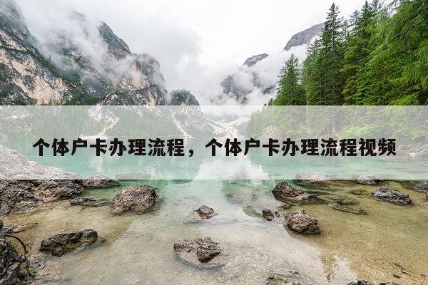 个体户卡办理流程，个体户卡办理流程视频