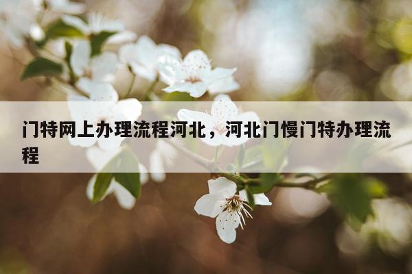 门特网上办理流程河北，河北门慢门特办理流程
