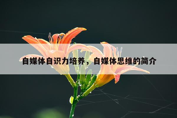 自媒体自识力培养，自媒体思维的简介