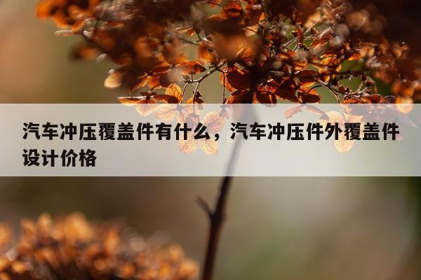 汽车冲压覆盖件有什么，汽车冲压件外覆盖件设计价格