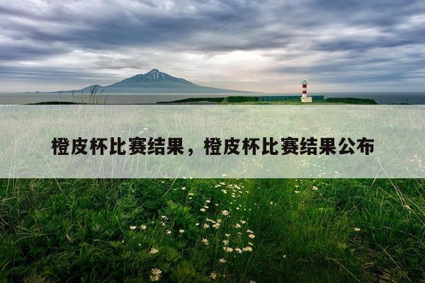 橙皮杯比赛结果，橙皮杯比赛结果公布