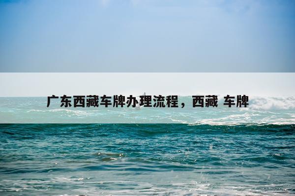广东西藏车牌办理流程，西藏 车牌