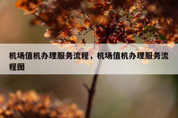 机场值机办理服务流程，机场值机办理服务流程图