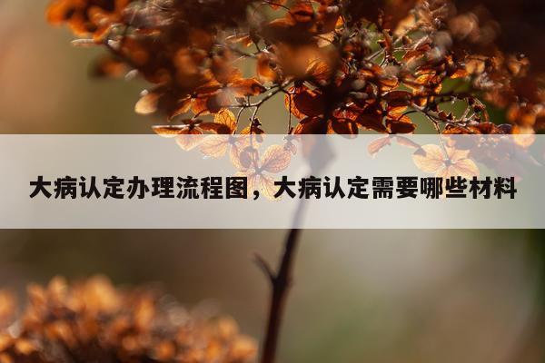 大病认定办理流程图，大病认定需要哪些材料