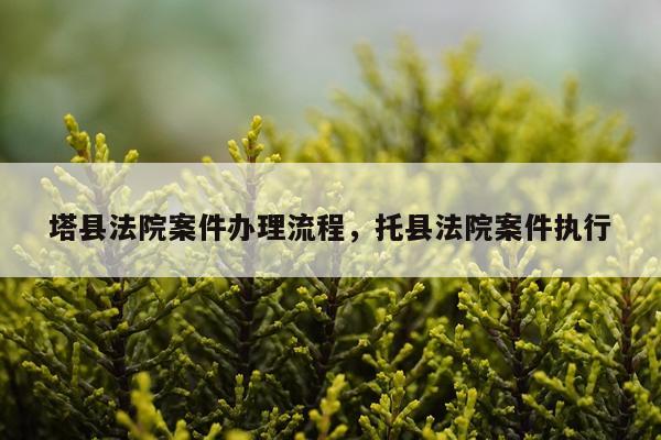 塔县法院案件办理流程，托县法院案件执行