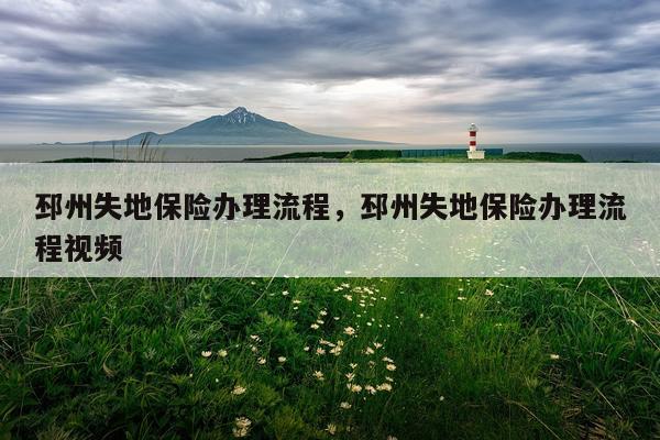 邳州失地保险办理流程，邳州失地保险办理流程视频