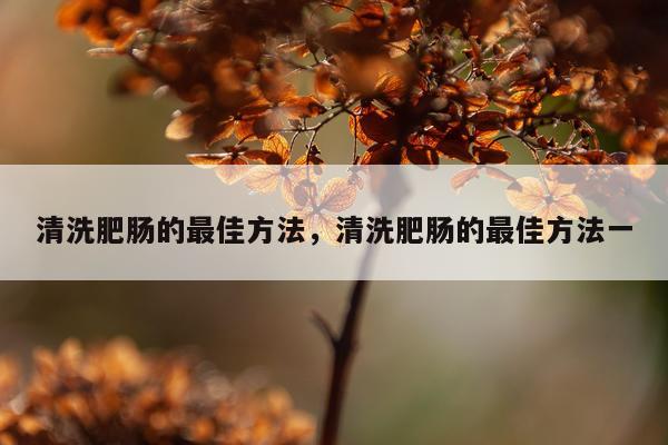 清洗肥肠的最佳方法，清洗肥肠的最佳方法一