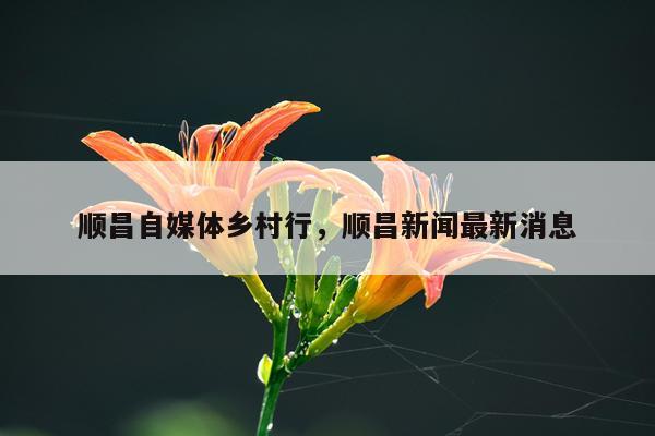 顺昌自媒体乡村行，顺昌新闻最新消息