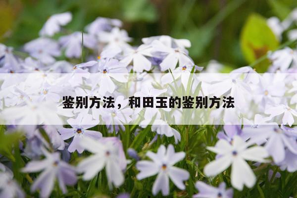 鉴别方法，和田玉的鉴别方法