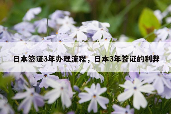 日本签证3年办理流程，日本3年签证的利弊