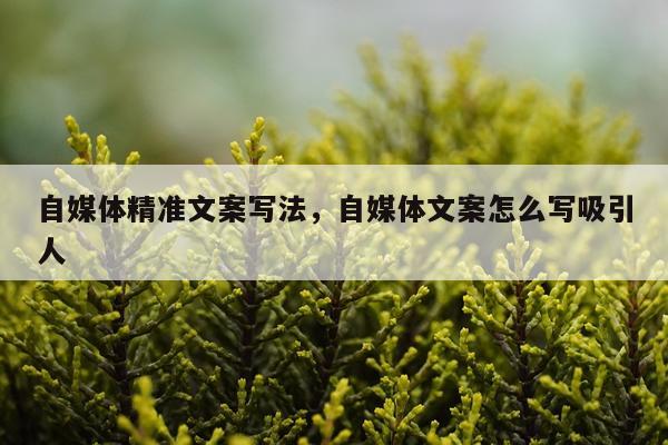 自媒体精准文案写法，自媒体文案怎么写吸引人