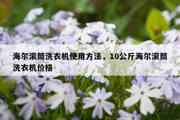 海尔滚筒洗衣机使用方法，10公斤海尔滚筒洗衣机价格