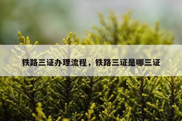 铁路三证办理流程，铁路三证是哪三证