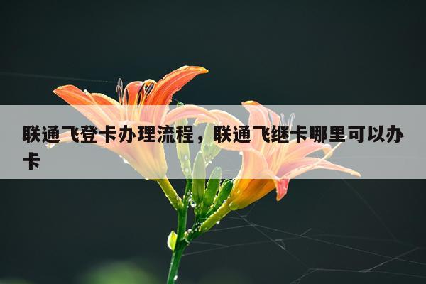 联通飞登卡办理流程，联通飞继卡哪里可以办卡