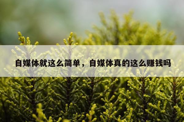 自媒体就这么简单，自媒体真的这么赚钱吗