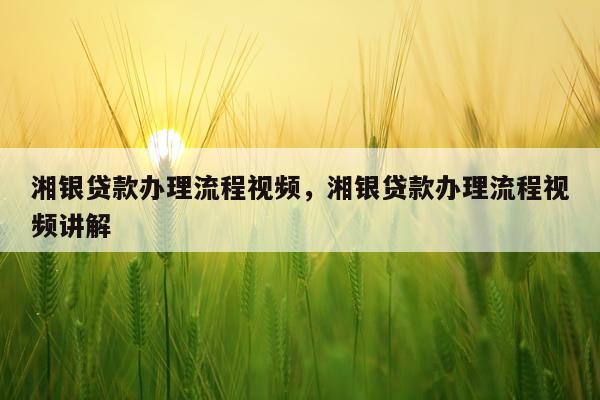 湘银贷款办理流程视频，湘银贷款办理流程视频讲解