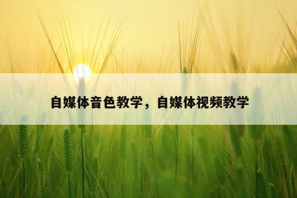 自媒体音色教学，自媒体视频教学