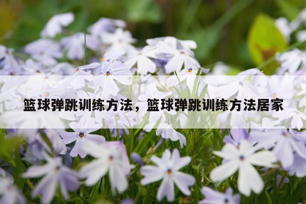 篮球弹跳训练方法，篮球弹跳训练方法居家