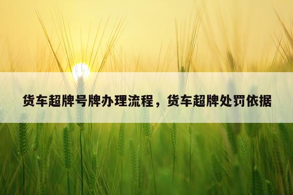货车超牌号牌办理流程，货车超牌处罚依据
