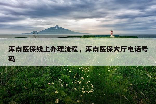 浑南医保线上办理流程，浑南医保大厅电话号码