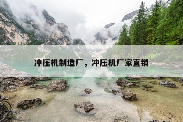 冲压机制造厂，冲压机厂家直销