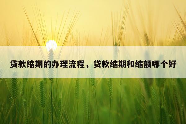 贷款缩期的办理流程，贷款缩期和缩额哪个好
