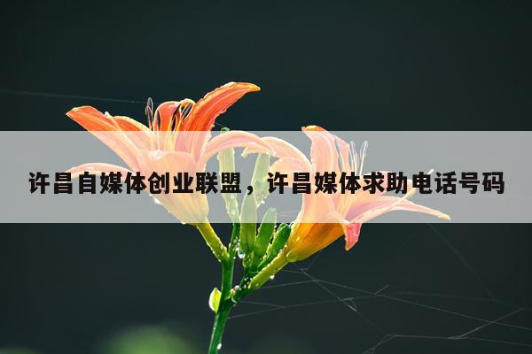 许昌自媒体创业联盟，许昌媒体求助电话号码
