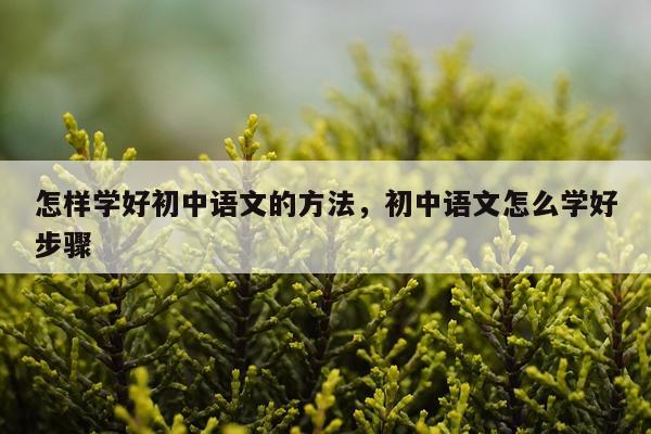 怎样学好初中语文的方法，初中语文怎么学好步骤