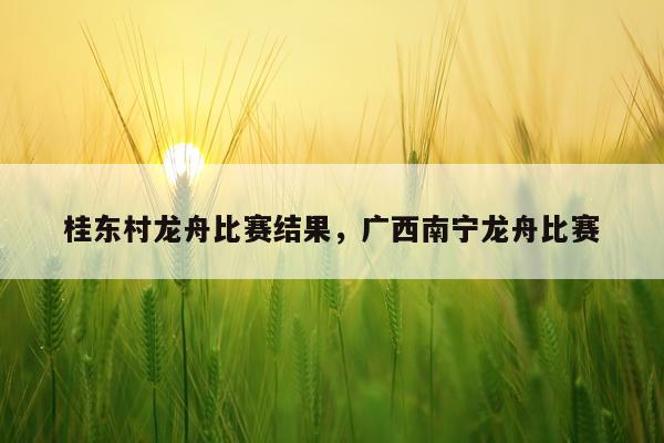 桂东村龙舟比赛结果，广西南宁龙舟比赛